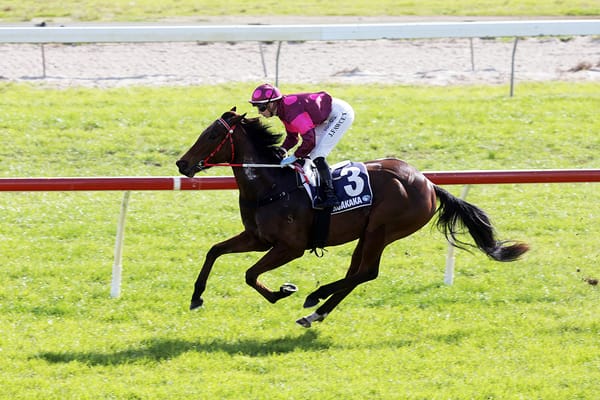 Home track treble for Ruakaka locals