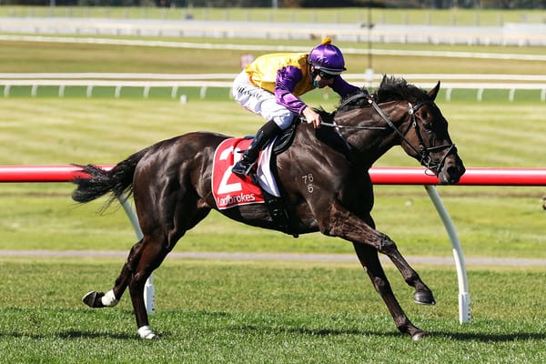 PB Lawrence first-up for Elephant