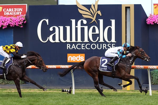 Mascot Dabernig's spring player