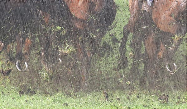 Hawera meeting postponed