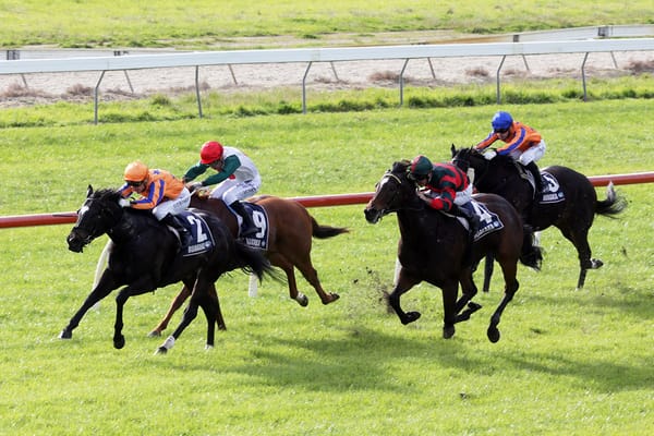 Imperatriz fires in Ruakaka feature