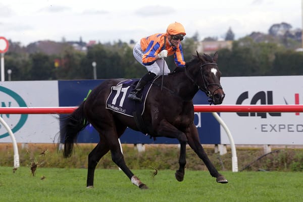 Imperatriz dominant in Te Rapa feature