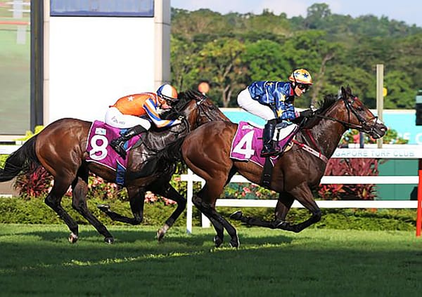 Lim’s Kosciuszko wins Lion City Cup