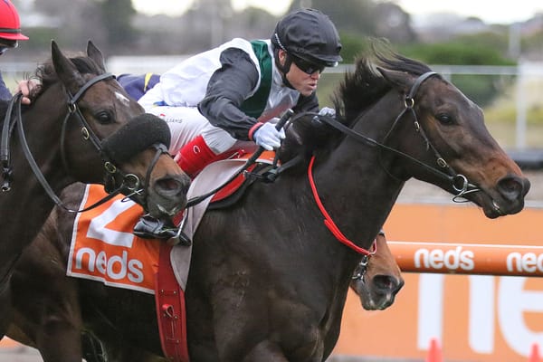 Mr Brightside in for bumper spring