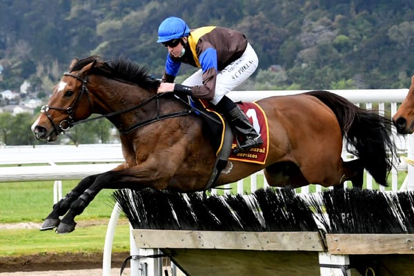 Nelson perplexed by Grand National run