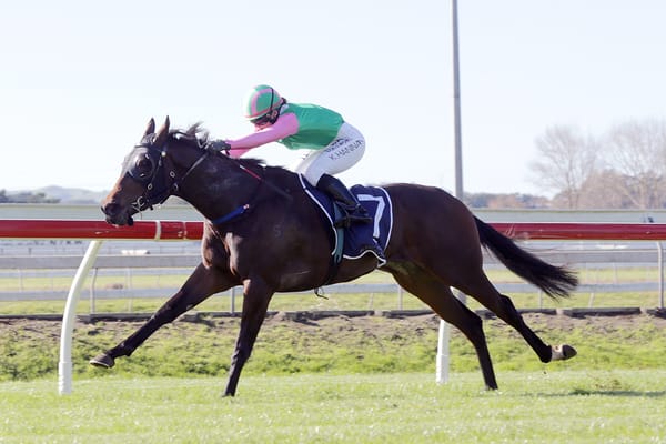 First-starter no pushover in Guineas