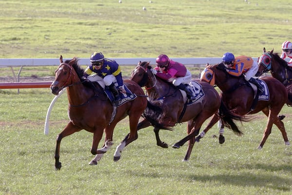 Zelenski finds winning groove