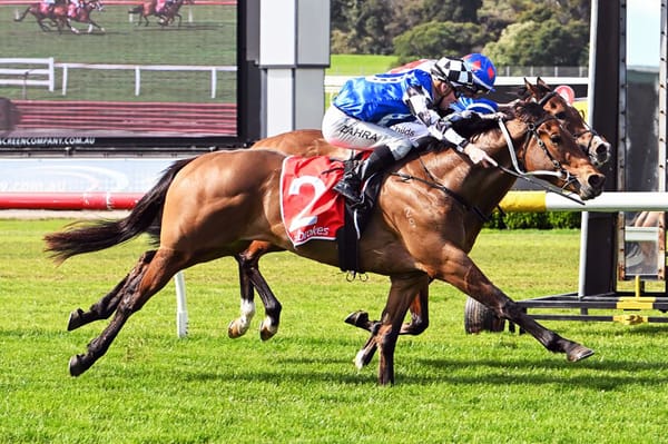 Artzino breaks through for maiden win