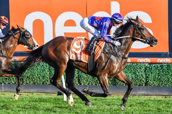 Price keeping it simple with Ayrton