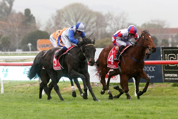 Dark Destroyer to contest Ipswich Cup