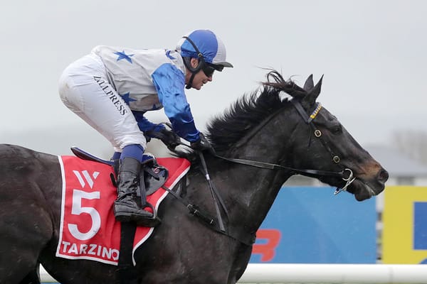 Dark Destroyer ruled out of Arrowfield Stud Plate