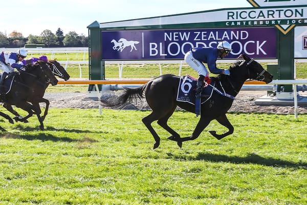 Local trainers have strength in numbers