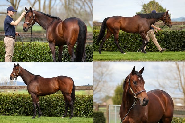 Yulong wins fierce battle for Entriviere