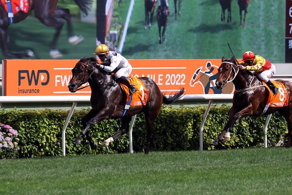 NZB Ready To Run Sale catalogue launched