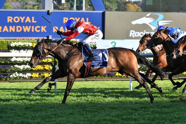 Icebath ready for Group One plunge