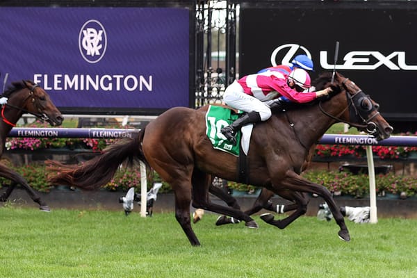 Kiwis set to fly in Turnbull