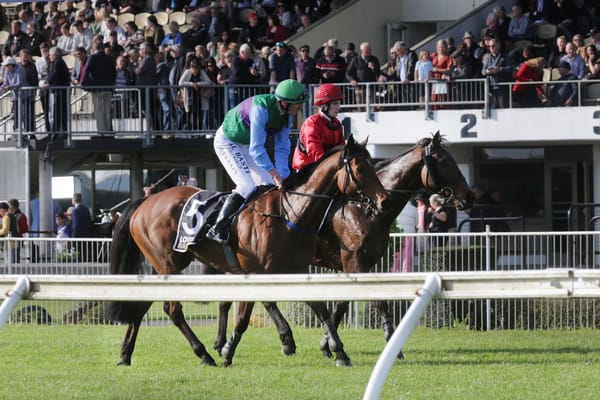 Never say die Kiddo wins Great Northern