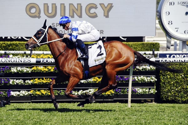 Kolding on track for Tramway