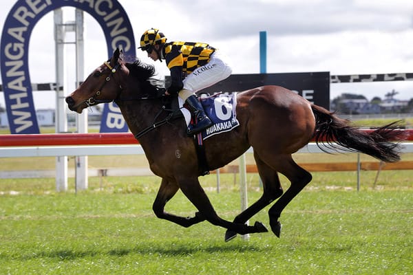 Perfect start for Cambridge Stud stallion