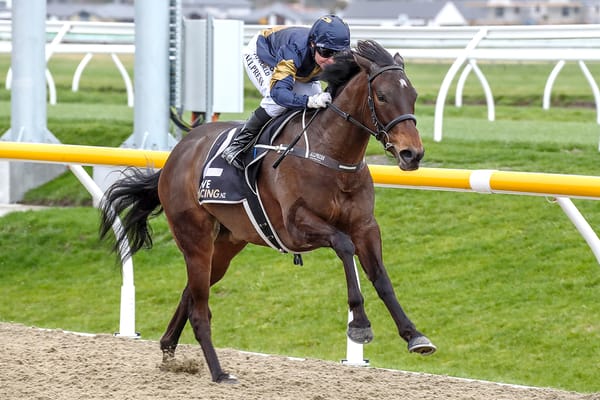 Miss Take ready for black-type test