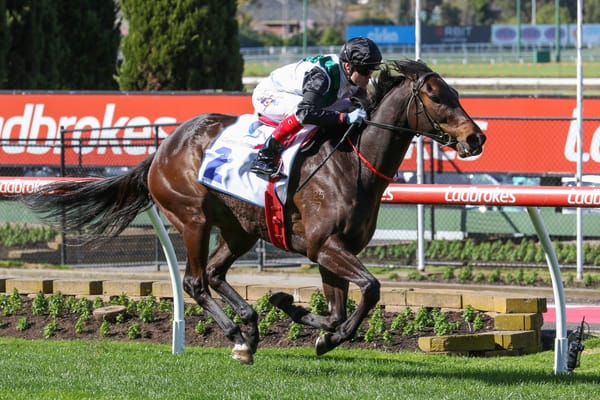 Hayes brothers seeking to extend family dynasty