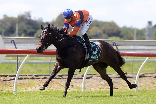 Guineas performer returns to fray