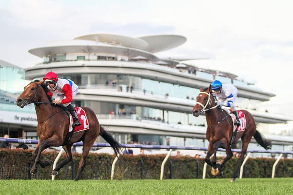 Better ground to suit Kiwi Group One hopes