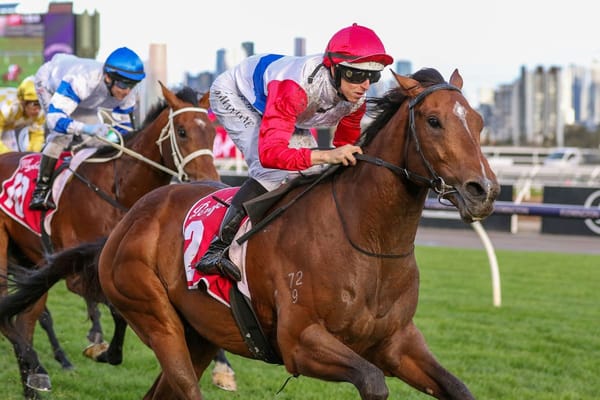 Forsman colt on cue for Derby start
