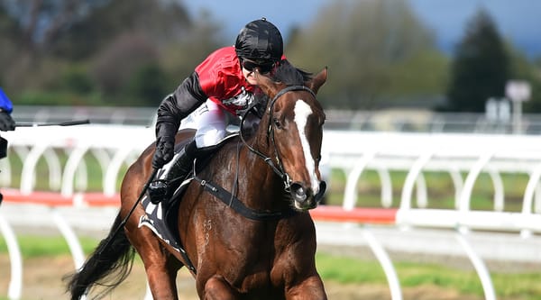 Mustang Valley excels in Awapuni feature