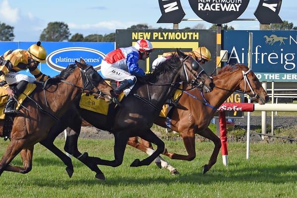 No Loitering produces front-running gem at New Plymouth