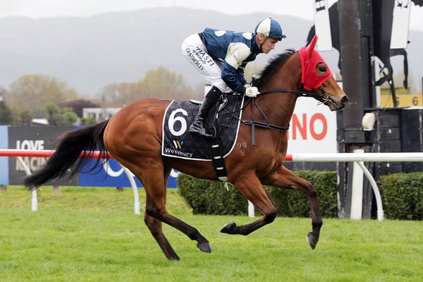 Pier improved for Hawke’s Bay Guineas
