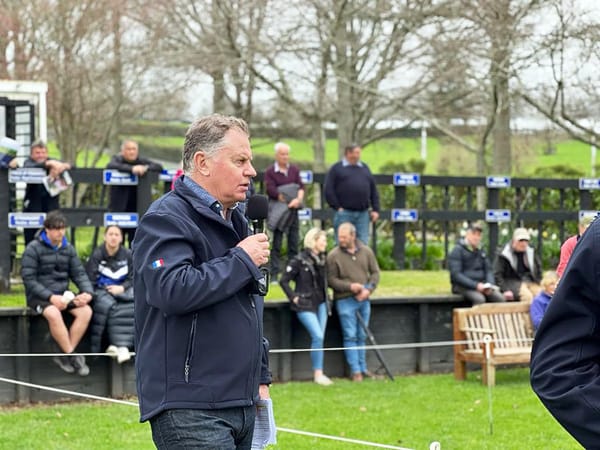 Rich Hill stallion double delights studmaster Thompson