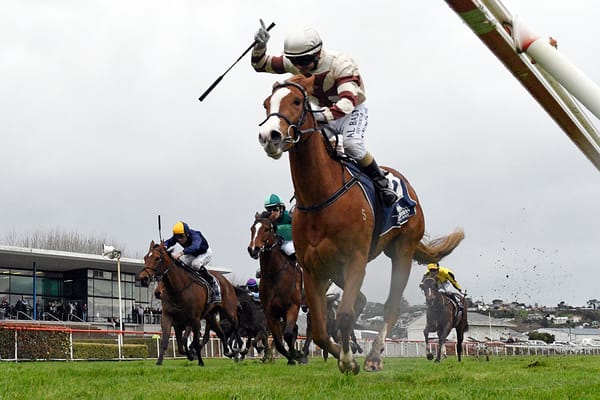 Sheez Dominant seeking Guineas double