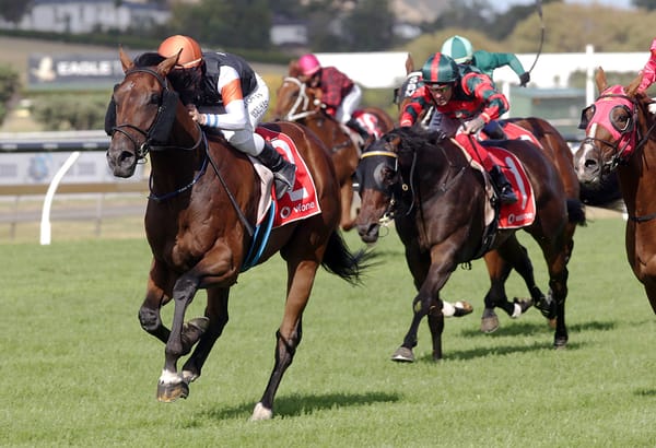 Sherwood Forest readying for raceday return