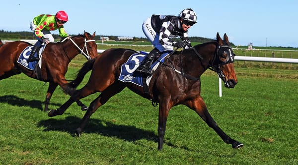 Fillies have Wanganui distance bases covered