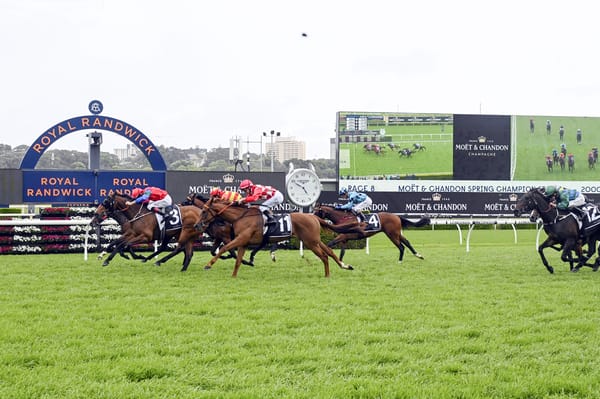 Sharp ‘N’ Smart all heart in Spring Champion