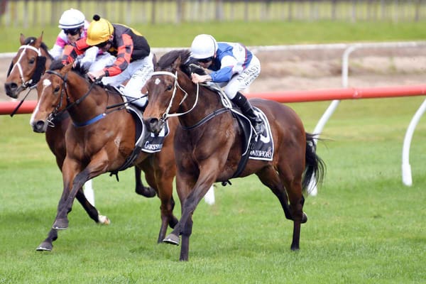 Go Racing three-year-olds on the rise