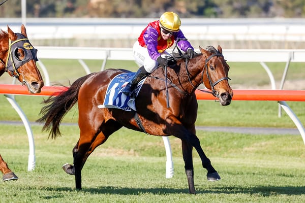 Invitation delight for Kiwi mare