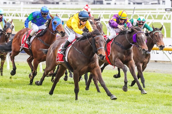 Blue Solitaire on 1000 Guineas path