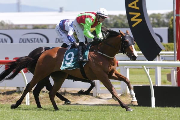 Champion South African hoop makes instant impact