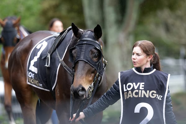 Wellington Cup target for Coruba Jak