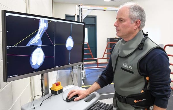 CT scanner: Detecting limb injuries in horses