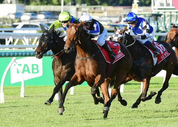 Gypsy Goddess prospecting for gold at Rosehill