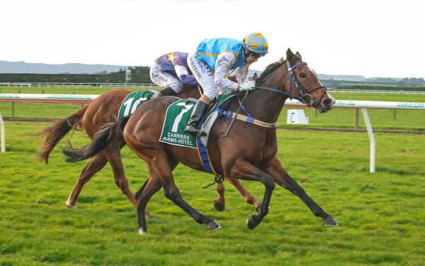 New Zealand Cup credentials on the line for Heidi Hi at Wingatui