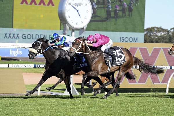 I Wish I Win delivers golden glow for Waikato Stud