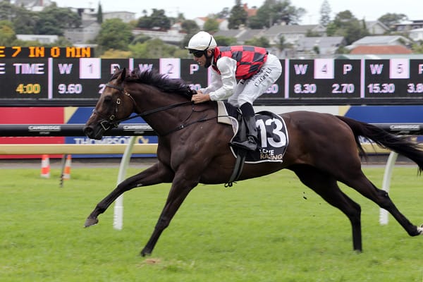 Grylls wings it ahead of big Matamata raceday