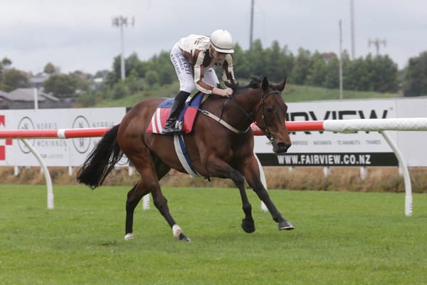 Levante on target for Flemington return