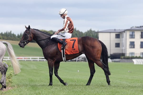 Te Rapa hit-out for Levante