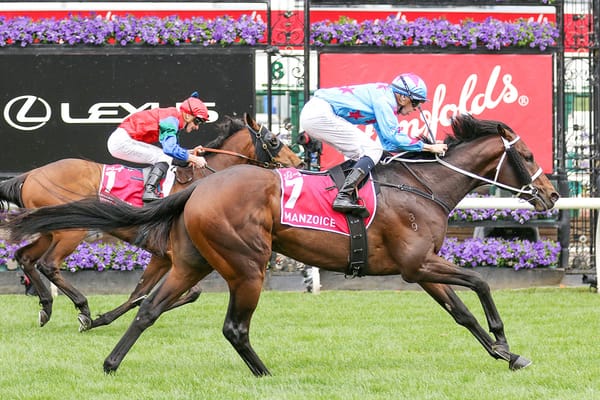 Almanzor colt stars in Derby