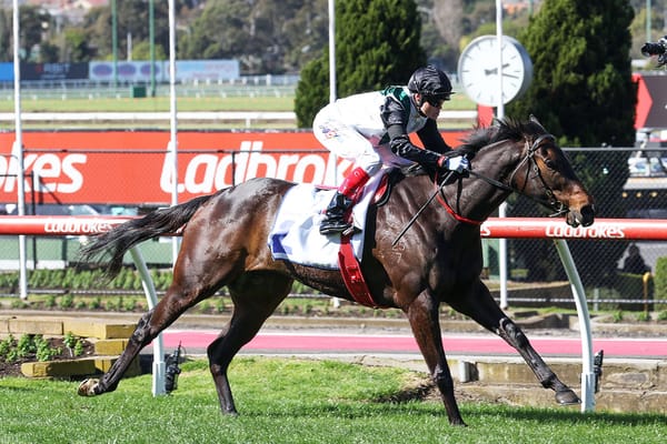 Mr Brightside looking for redemption in Champions Mile